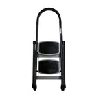 2 STEP MS LADDER