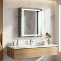 MIRROR CABINET 16X24 3TC