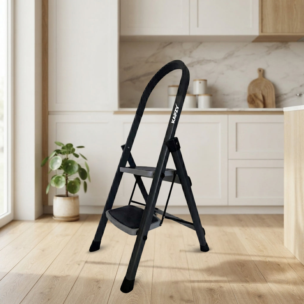 2 STEP MS LADDER