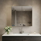 MIRROR CABINET 18X18 SS